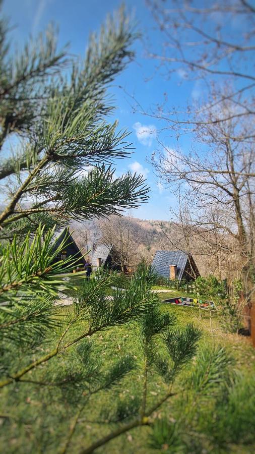 Loca Sapanca Bungalov Exterior photo